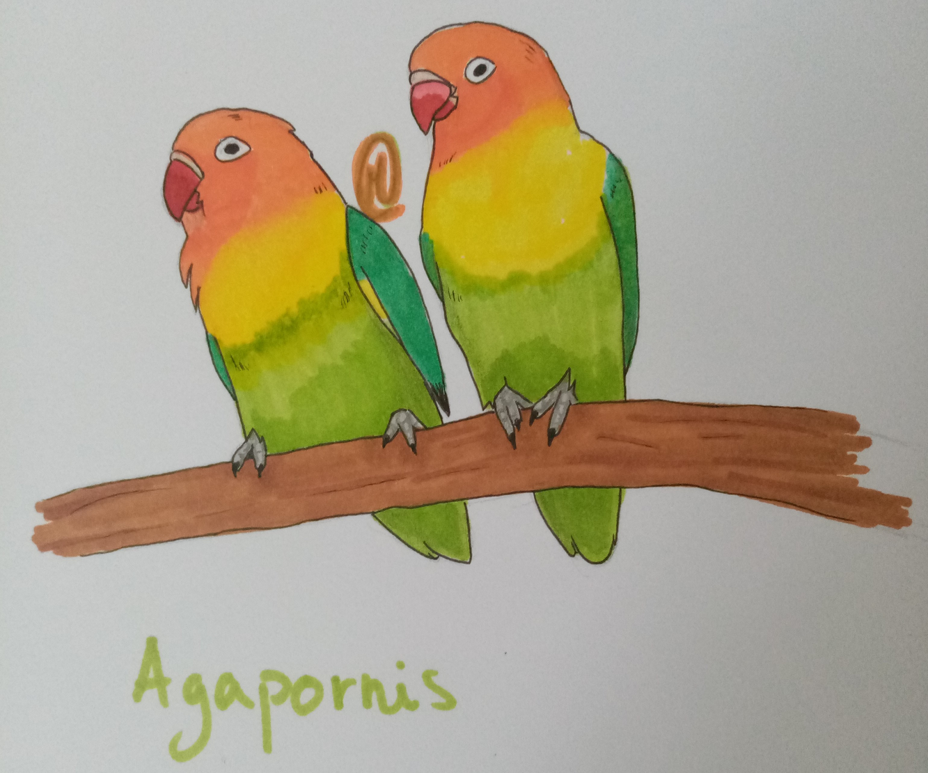 Les Dessins Naturalistes du Mois