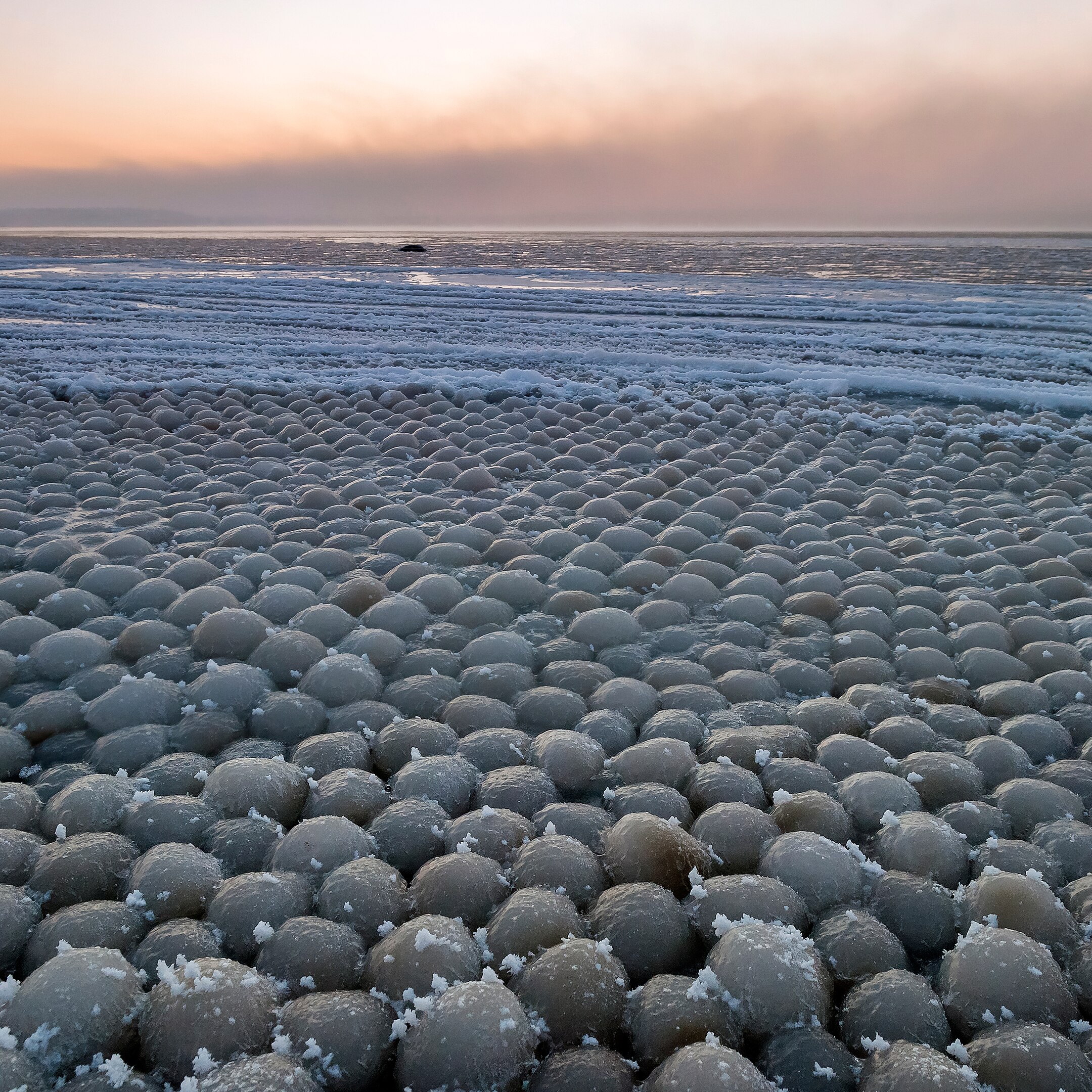 Les Oeufs de Glace