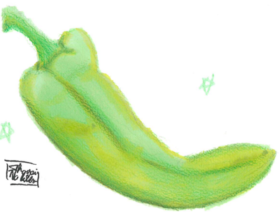 Le Dessin Naturaliste du Mois